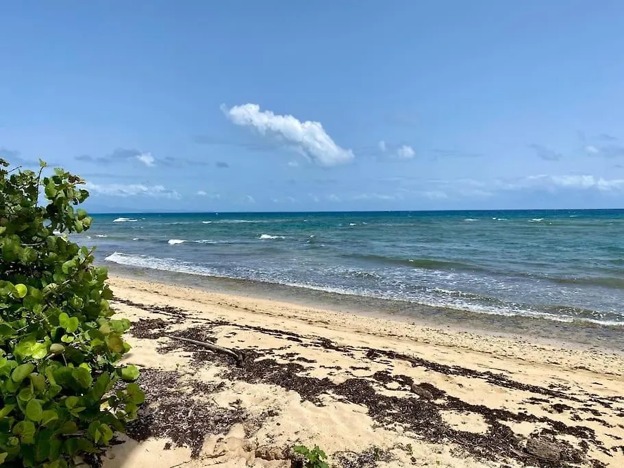 Santa Maria  Caracas Beach Front And Pool-Casa Prima Santa Maria (Vieques)